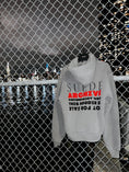 Load image into Gallery viewer, ARCHIVE HOODIE